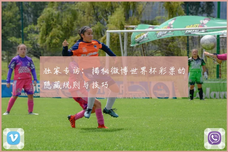 独家专访:揭秘微博世界杯彩票的隐藏规则与技巧
