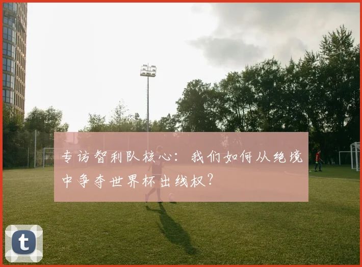 专访智利队核心：我们如何从绝境中争夺世界杯出线权？