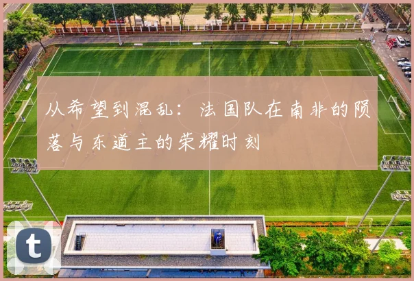 从希望到混乱：法国队在南非的陨落与东道主的荣耀时刻