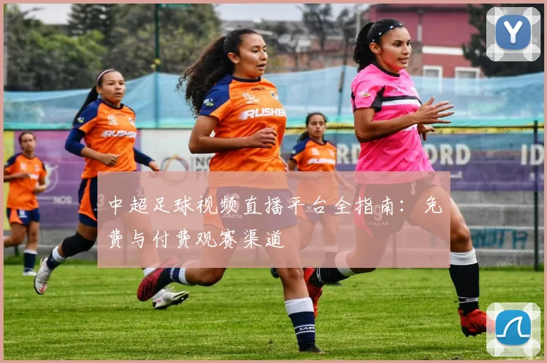 中超足球视频直播平台全指南：免费与付费观赛渠道