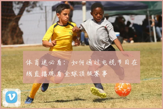 体育迷必看：如何通过电视节目在线直播观看全球顶级赛事
